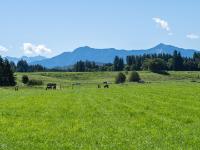 Bergblick nahe dem Parkplatz
